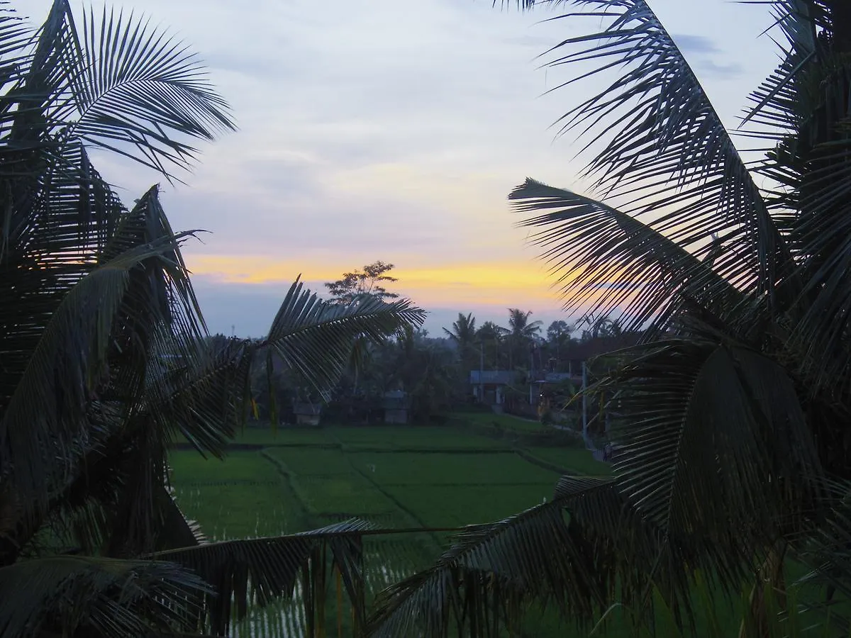 Eden House Ubud Indonesia
