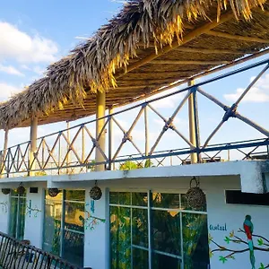 Apartahotel La Casa De Aves