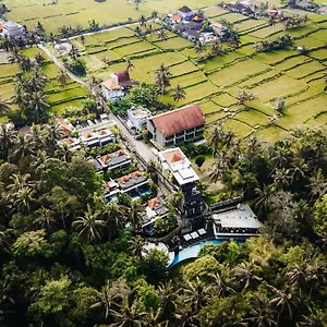 5* Resort The Ning