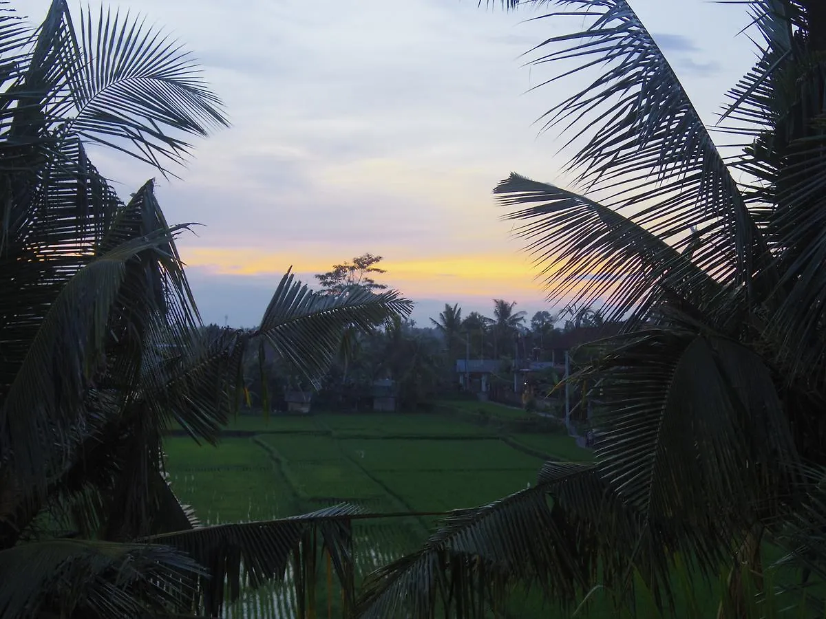 Eden House Ubud Bed & Breakfast