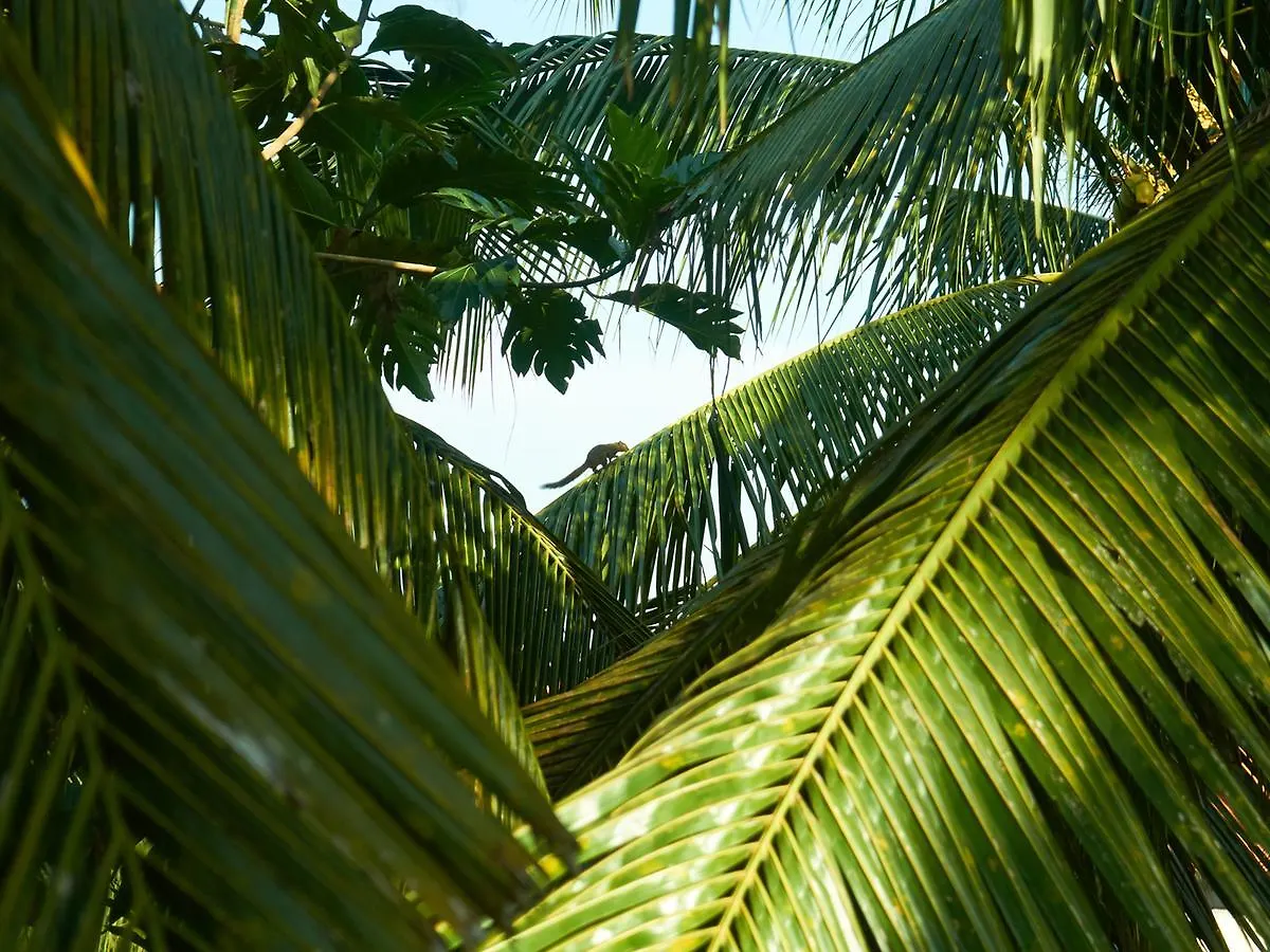 Eden House Ubud